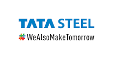 Tata Steel Foundation Logo