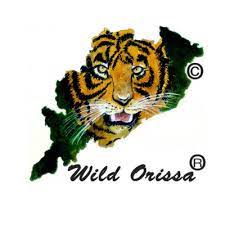 Wild Orissa logo