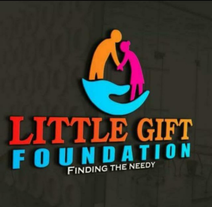 Little Gift Foundation logo