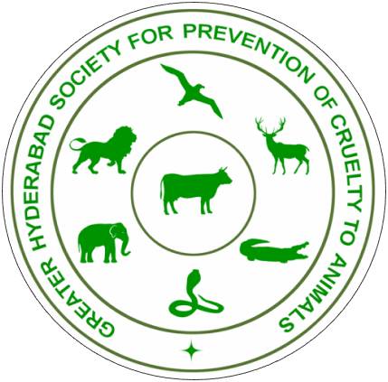 Greater Hyderabad Society for Prevention of Cruelty to Animals (GHSPCA)