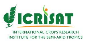 International Crop Research Institute for the Semi-Arid Tropics (ICRISAT)