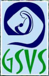 Grameen Evam Samajik Vikas Sansthan