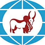 IndusInd Foundation