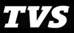 Srinivasan Services Trust