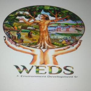 Womens Environment Development Society