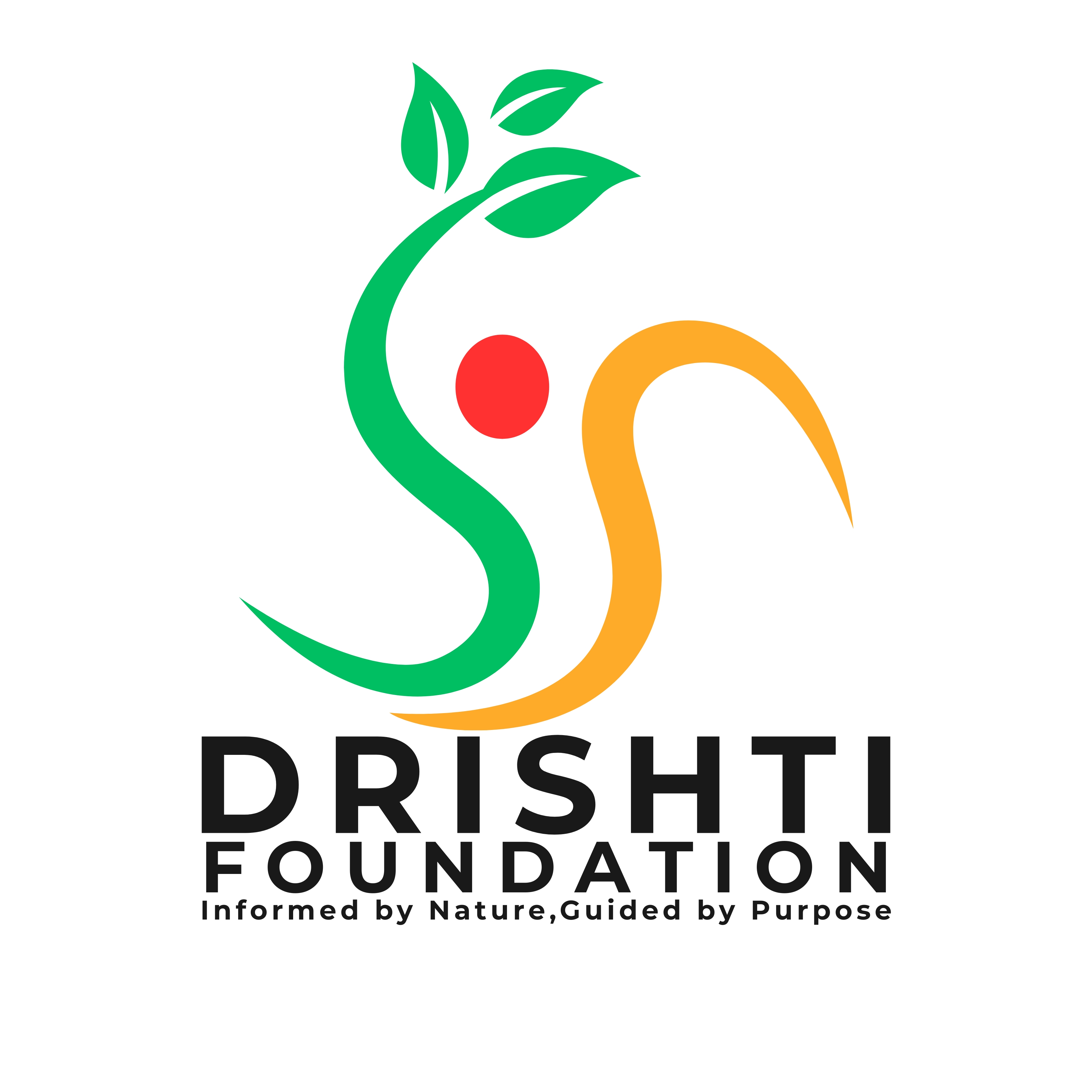 Drishti Foundation