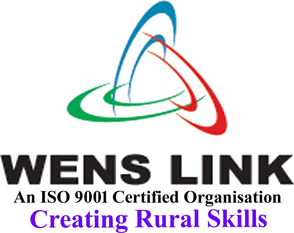 WENS LINK logo