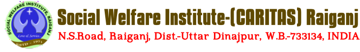 Social Welfare Institute logo