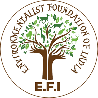 Environmentalist Foundation of India